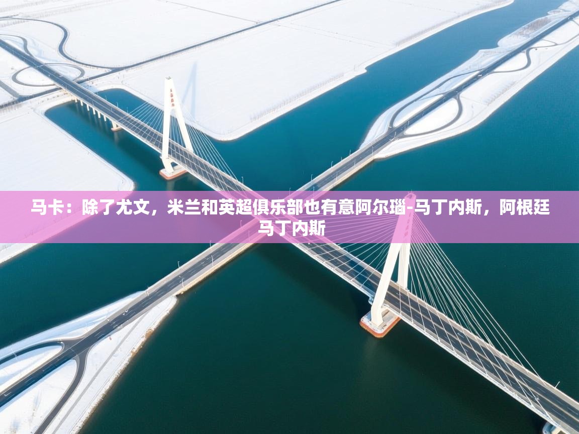 海星体育app-马卡:除了尤文,米兰和英超俱乐部也有意阿尔瑙-马丁内斯,阿根廷 马丁内斯 第3张