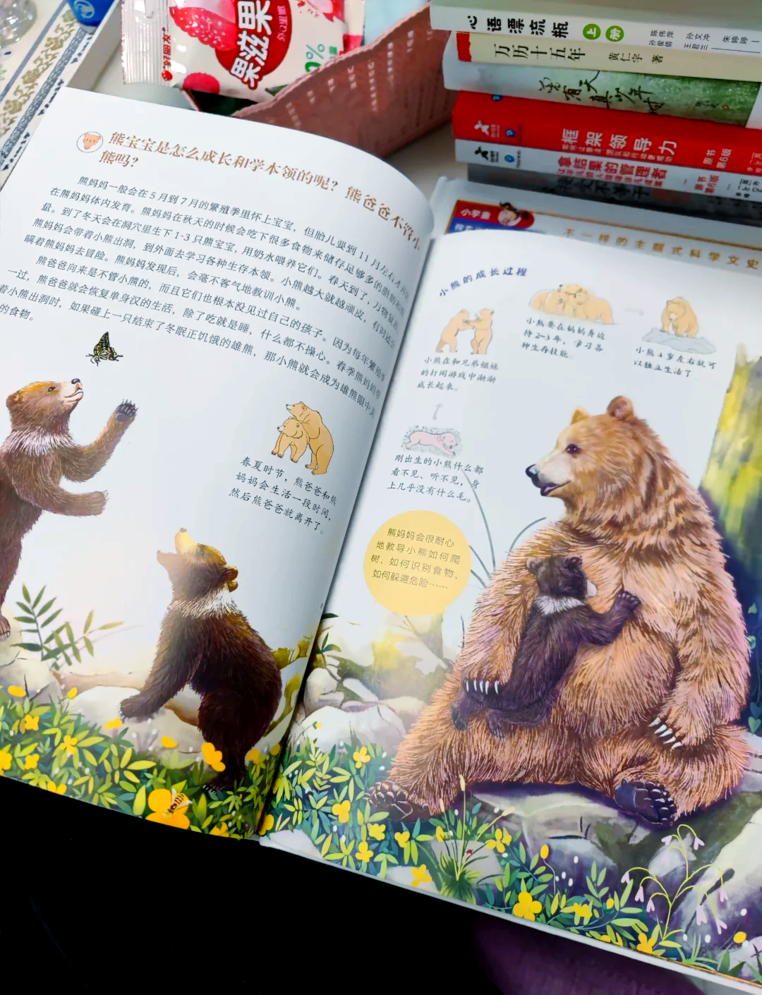 包含熊猫热情逆袭灰熊，和谐小加+的词条