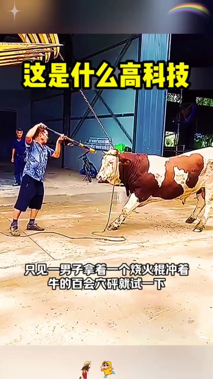 德赢半导体-一击致命，运动员用实力证明自我