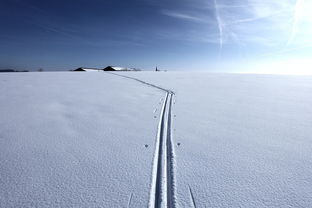 德赢半导体-挪威选手在越野滑雪比赛中表现抢眼，挪威滑雪队